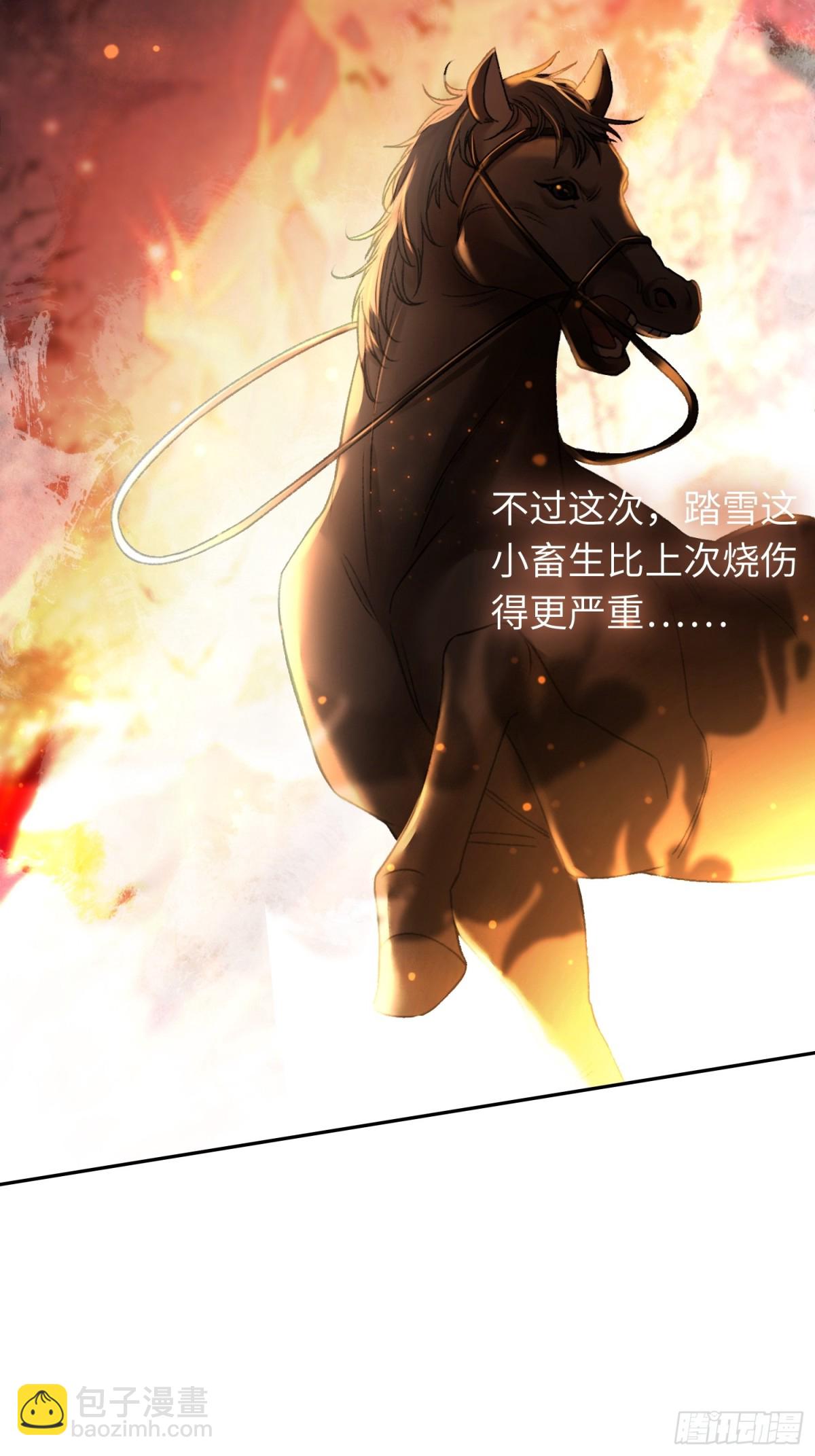 22 宠兔是一种本能(1/2)-第22话