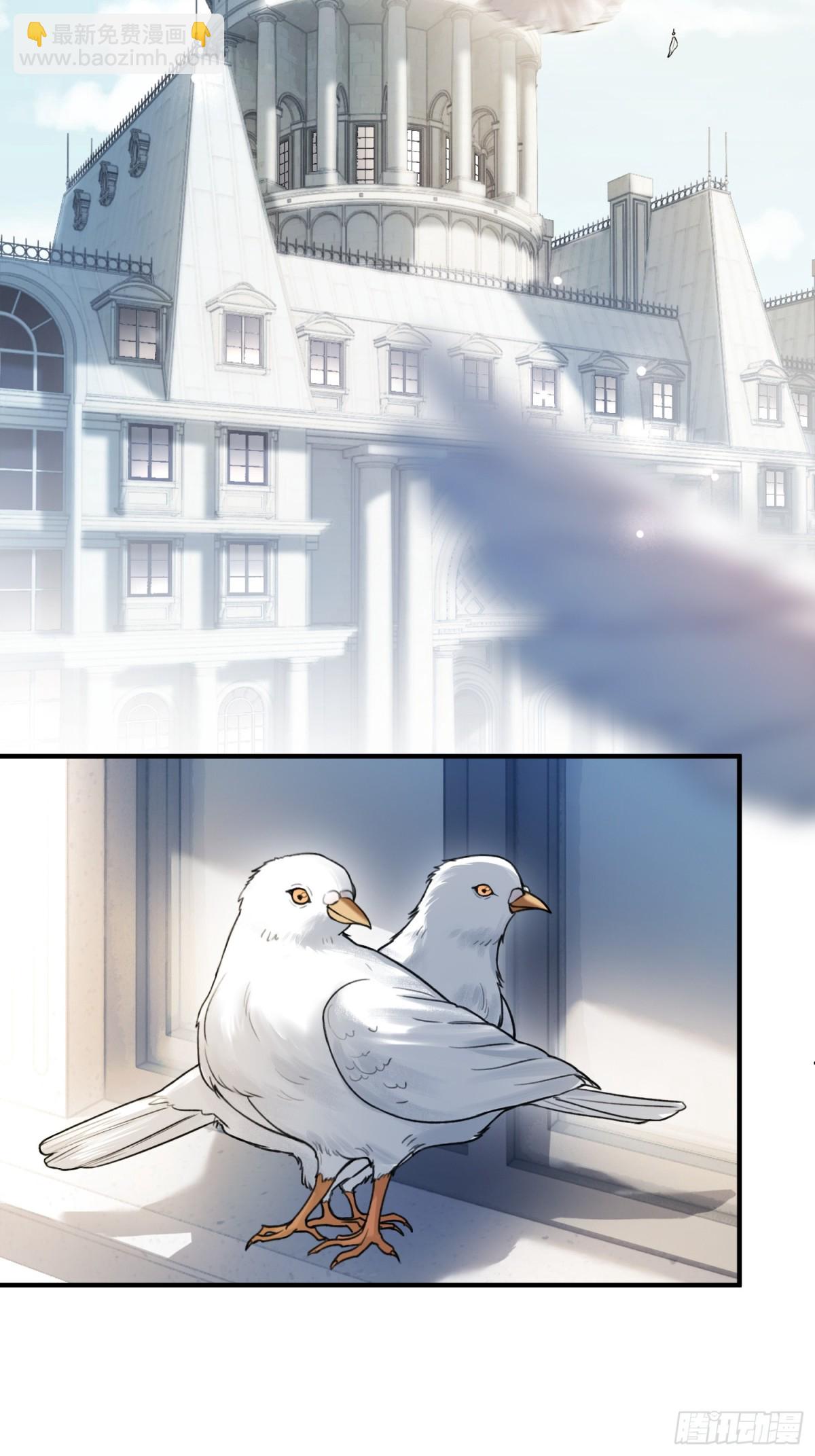 48 追妻火葬场预备役(1/2)-第48话