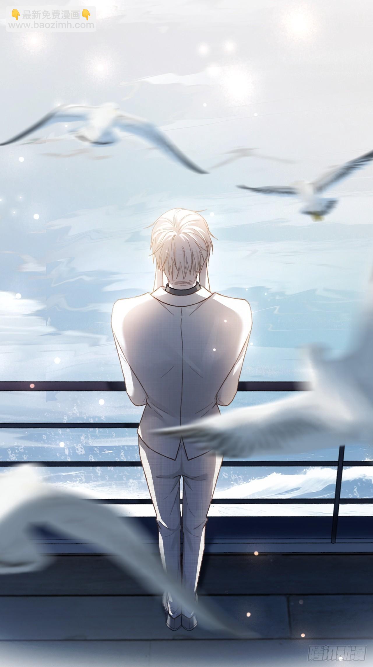 50 撩精兔兔上线-第50话