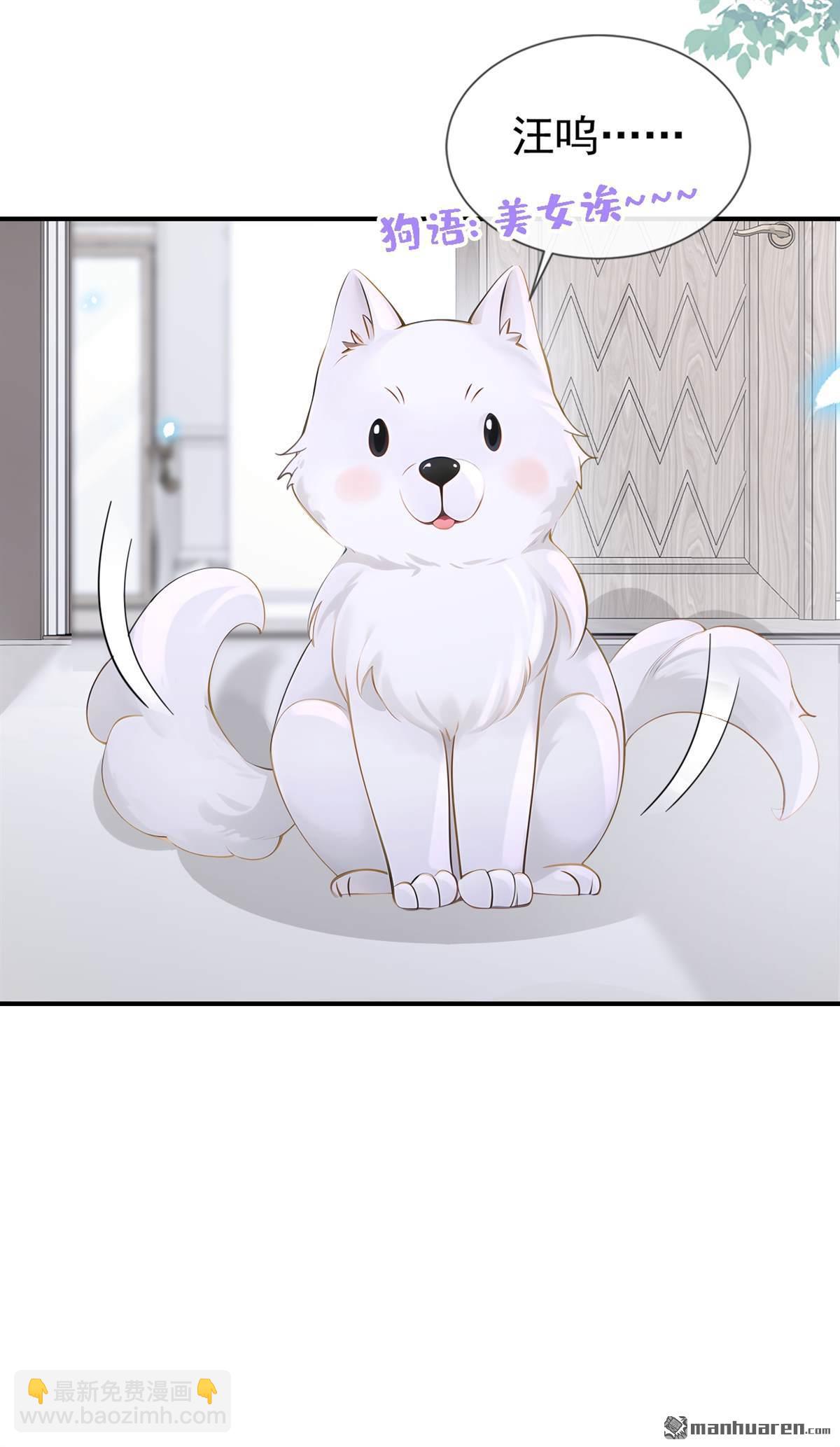 第114回 真相是什么？-第114话