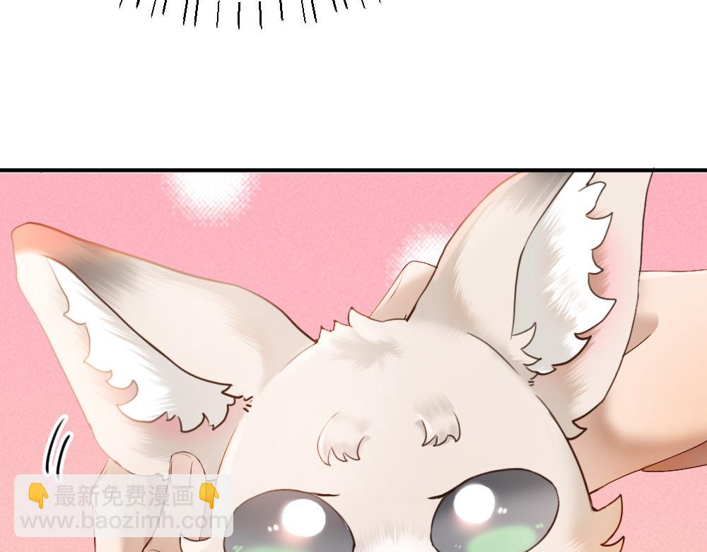 第58话 大变活狐(1/3)-第62话