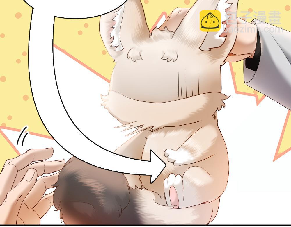 第58话 大变活狐(1/3)-第62话