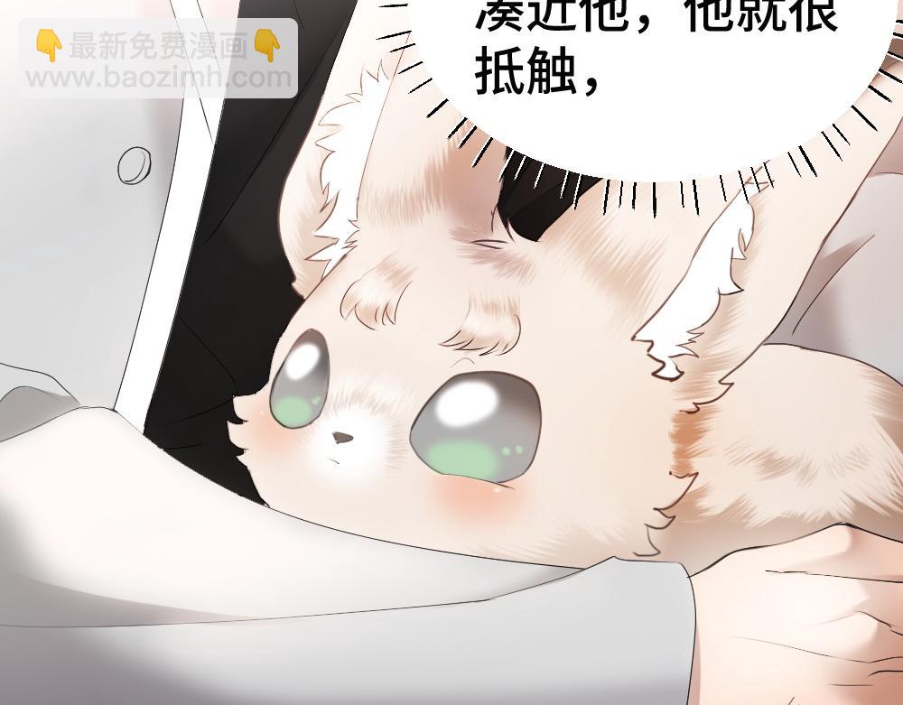 第58话 大变活狐(1/3)-第62话