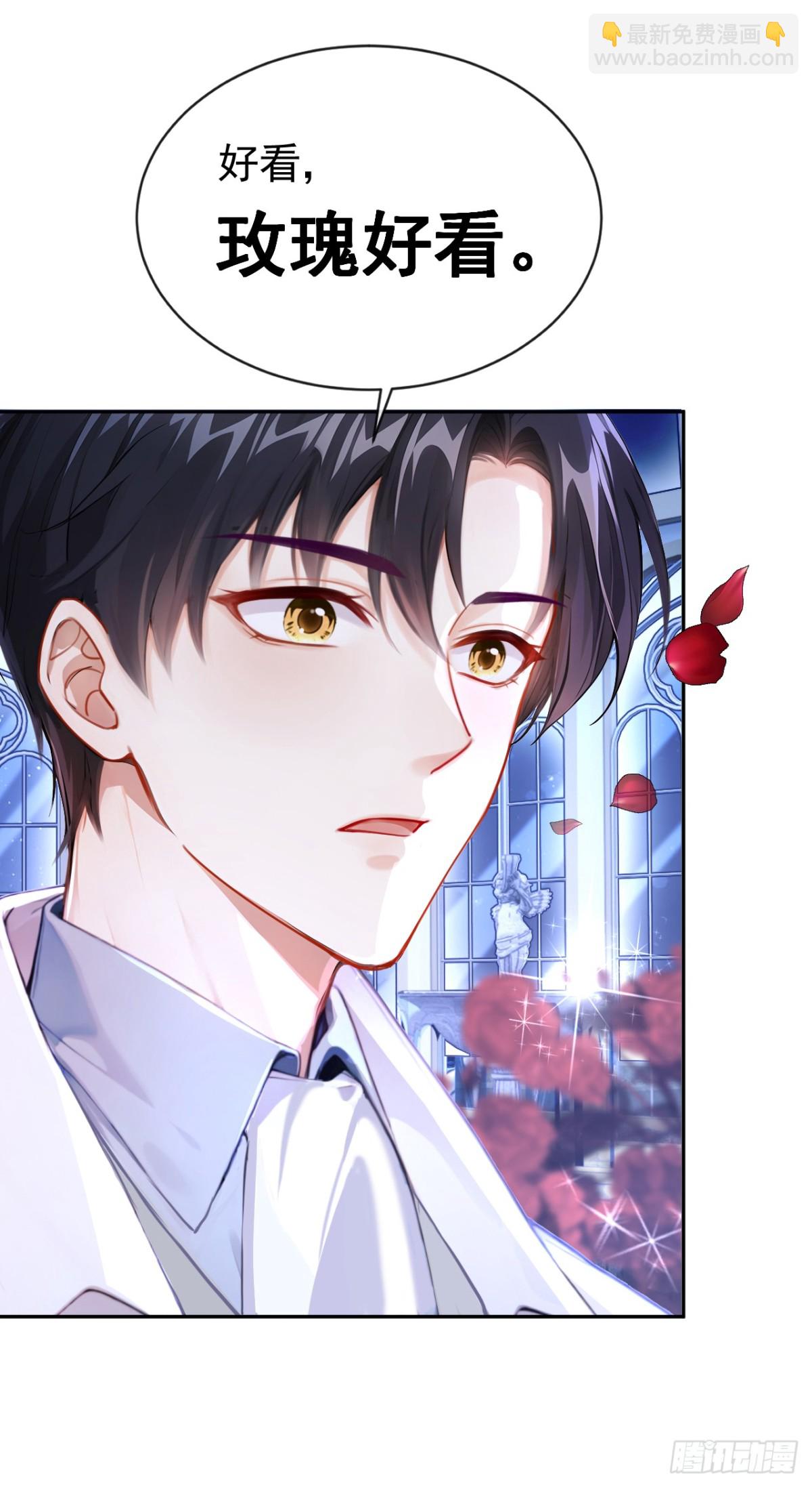 第154话 陪我去看玫瑰吧-第158话