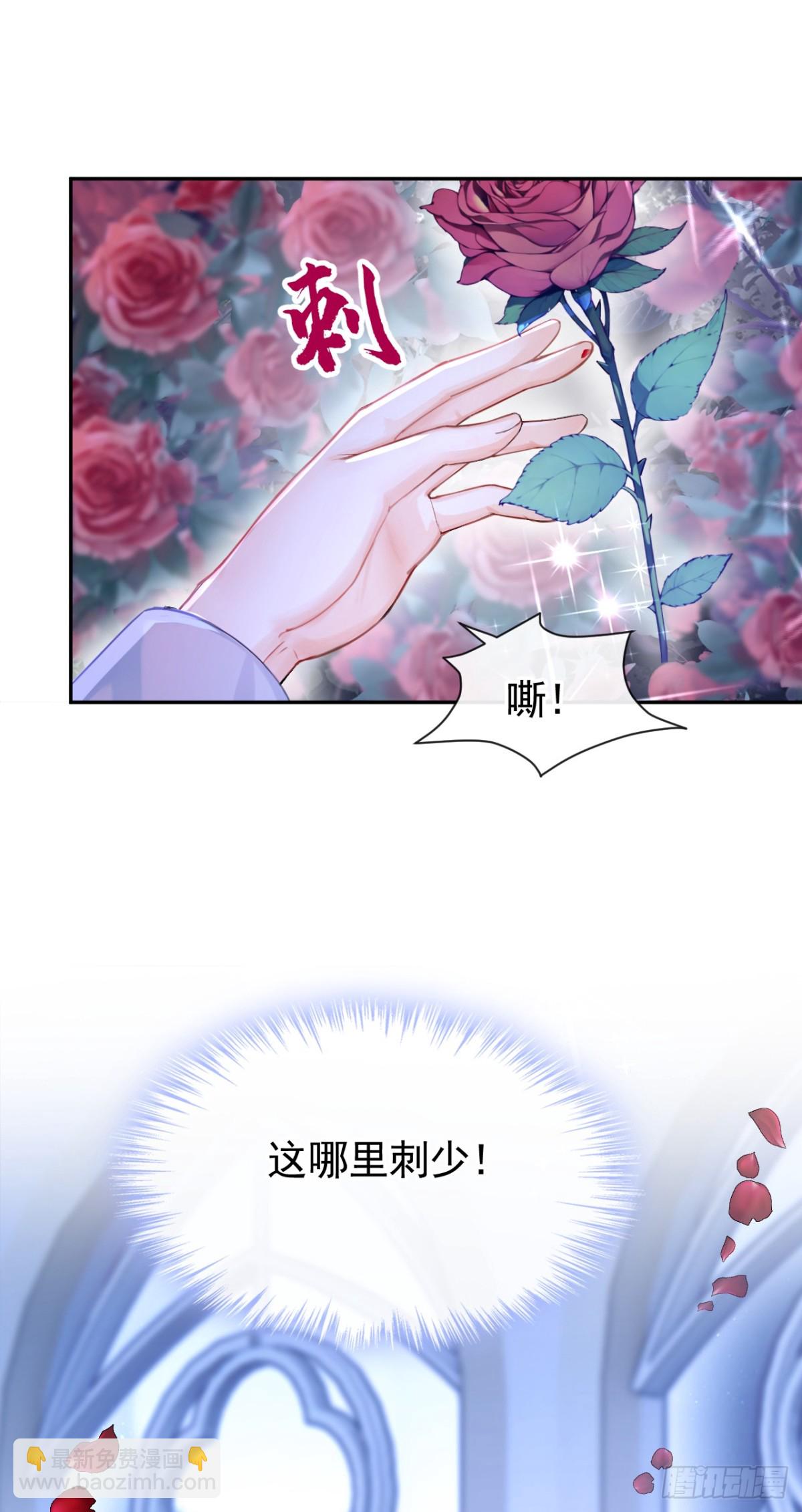 快穿系統：反派大佬不好惹 - 第154話 陪我去看玫瑰吧 - 6