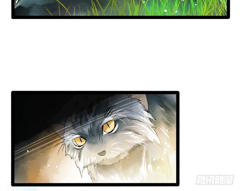 姑娘，我是你当年救下的小可爱呀！-第44话