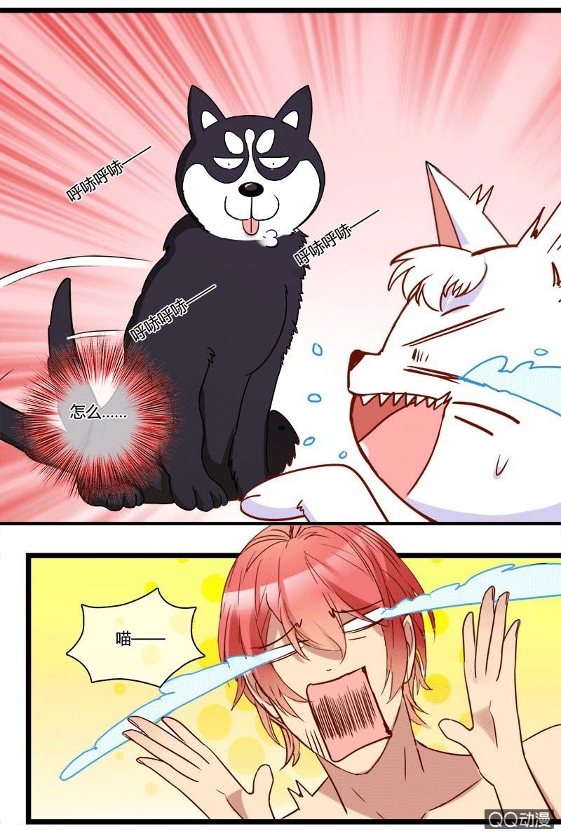 0130变身危机0131邀约-第80话