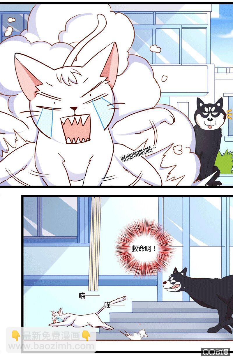 0130变身危机0131邀约-第80话