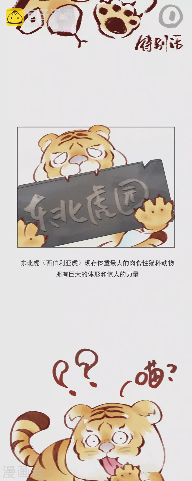 第11话 春节特别篇-第10话