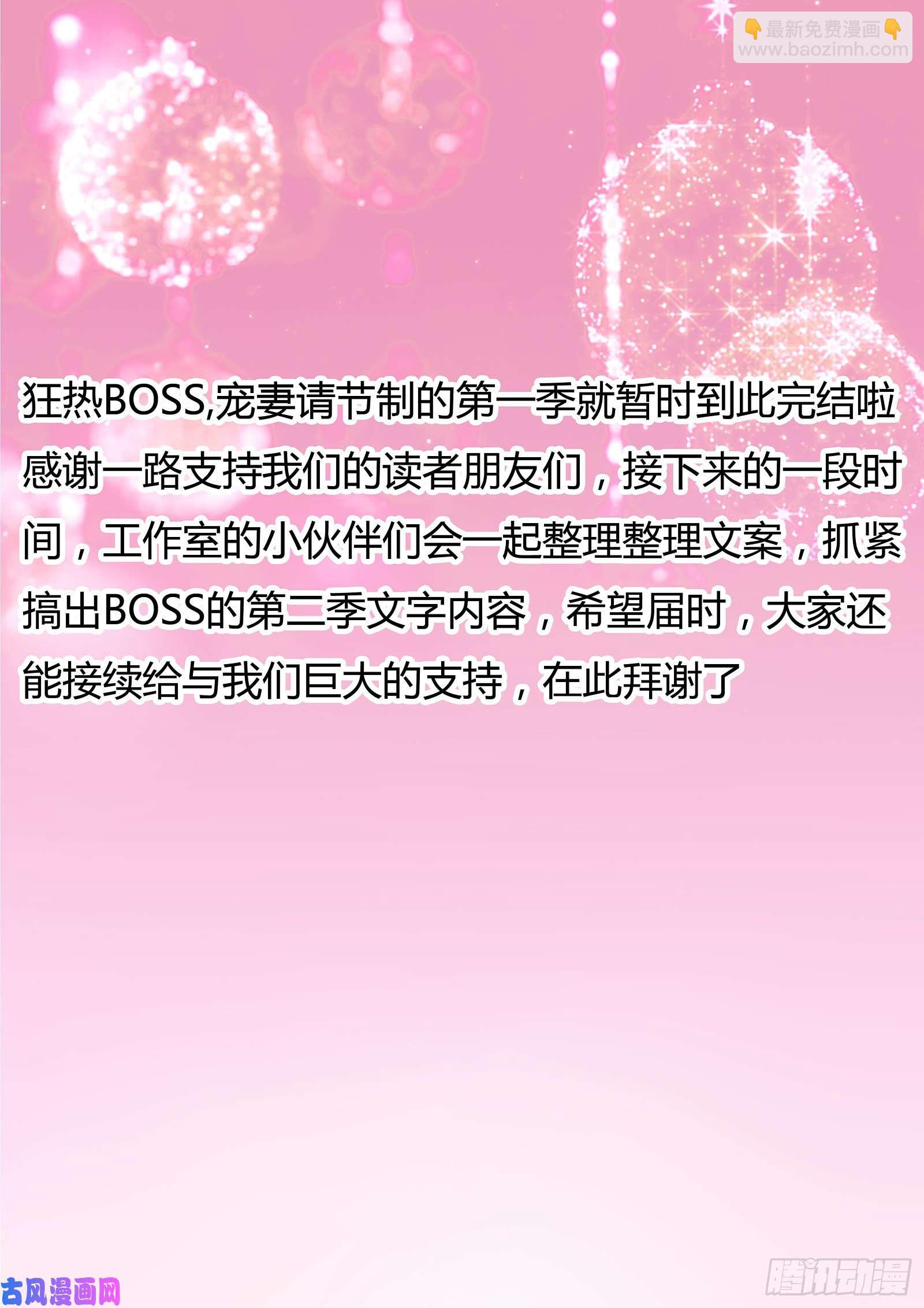 狂熱BOSS,寵妻請節制！ - 意外的來臨 - 3