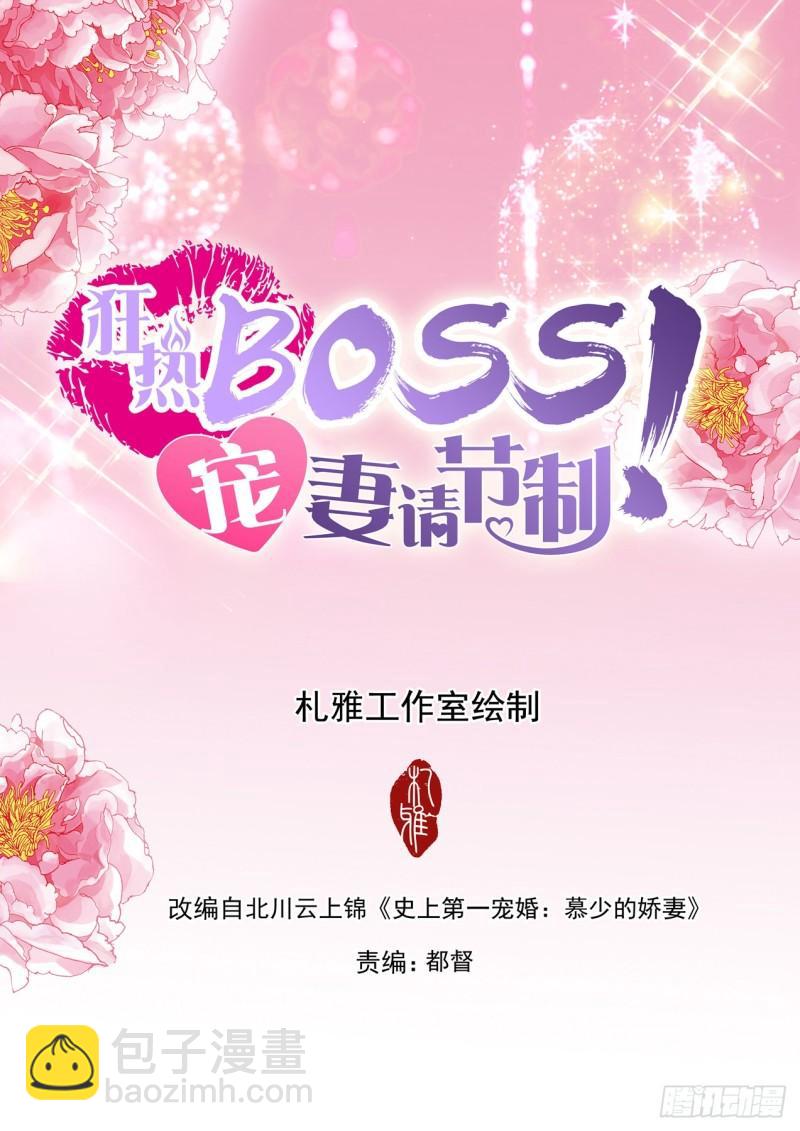 狂熱BOSS,寵妻請節制！ - 和你狂瘋浪疊 - 2