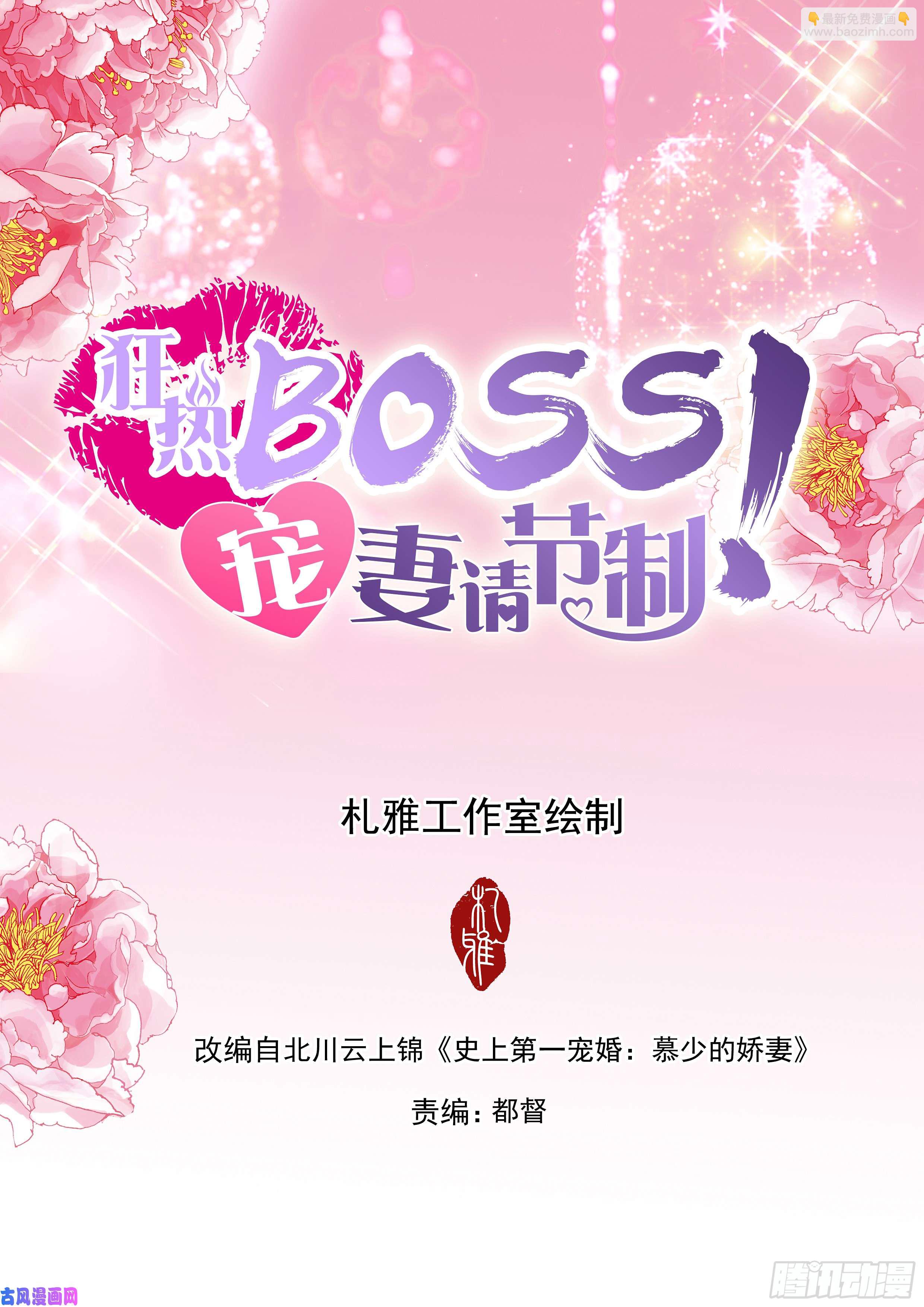 狂熱BOSS,寵妻請節制！ - 在車裡辦了你 - 2