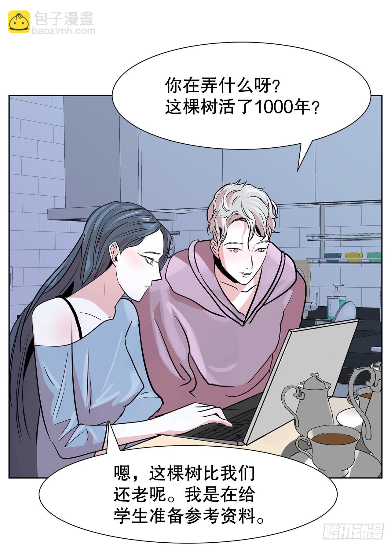 跨越百年 - 35.千年的树(2/2) - 4