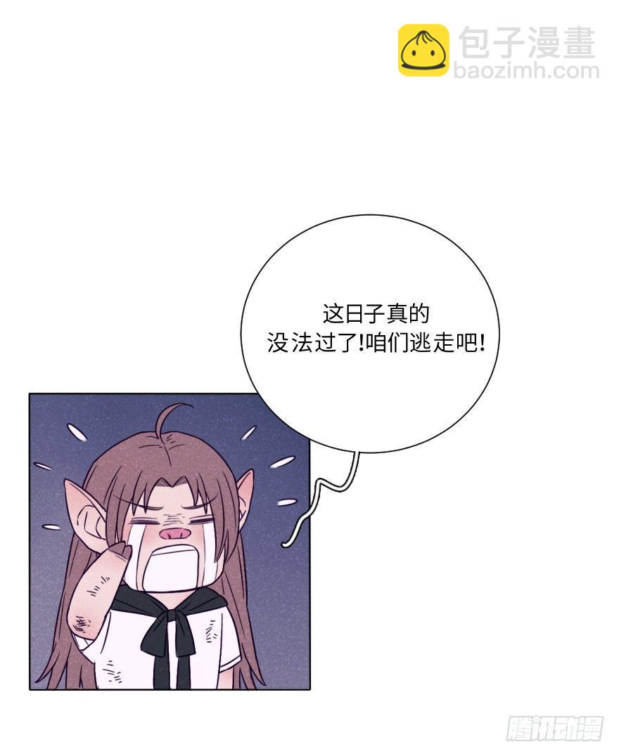 新春特辑/三只小猪(1/2)-第34话