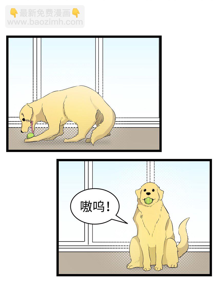 骷髏奶爸 - 156 最後的囑託(2/2) - 4