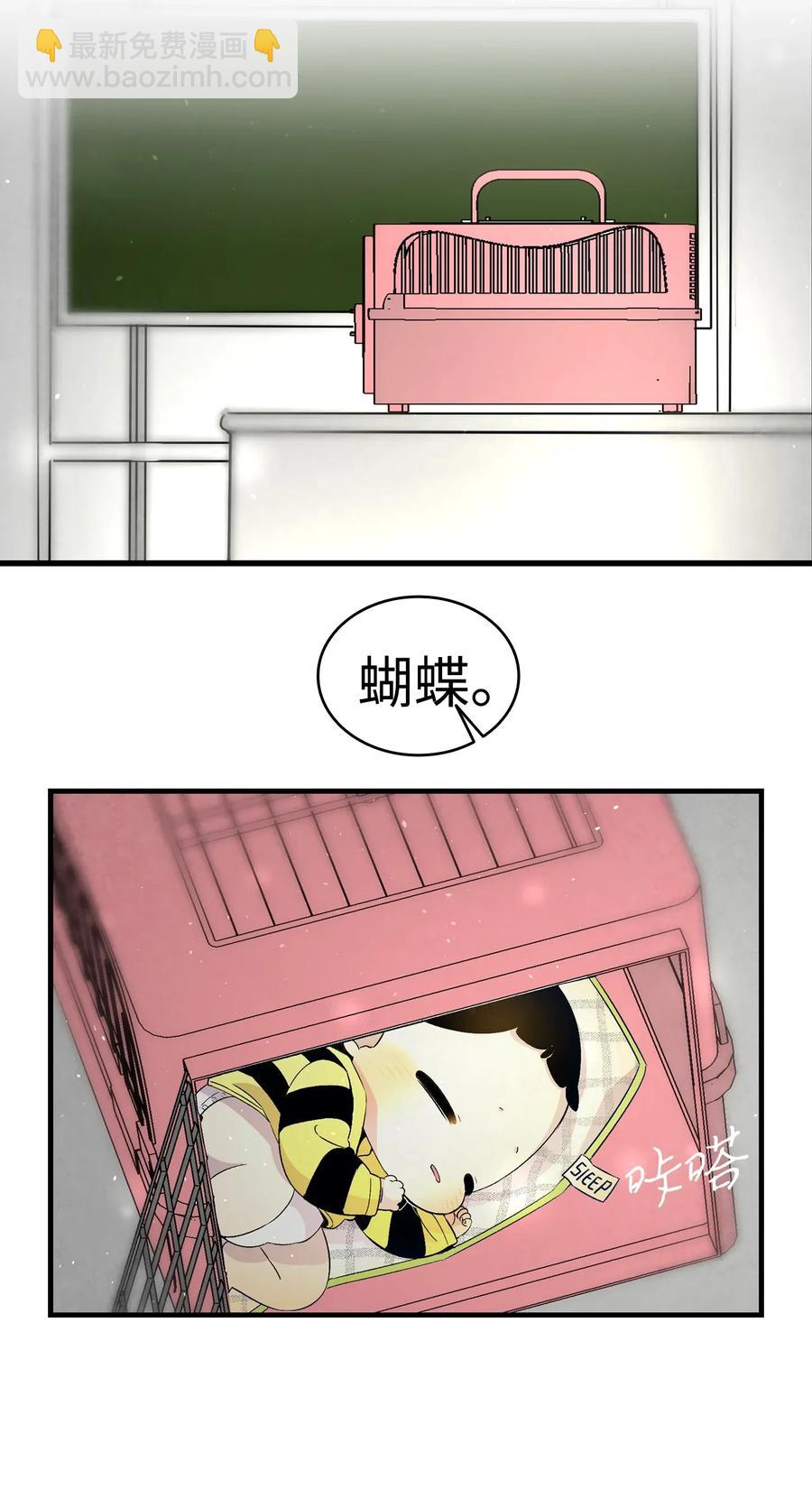 骷髏奶爸 - 32 接蝴蝶回家(1/2) - 8