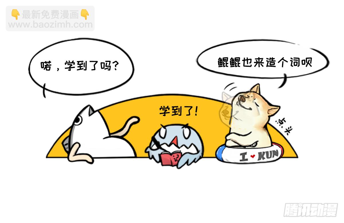 双十一瞎买图鉴-第20话