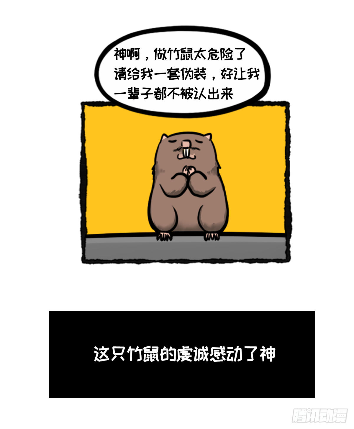 竹鼠才不要转锦鲤-第22话