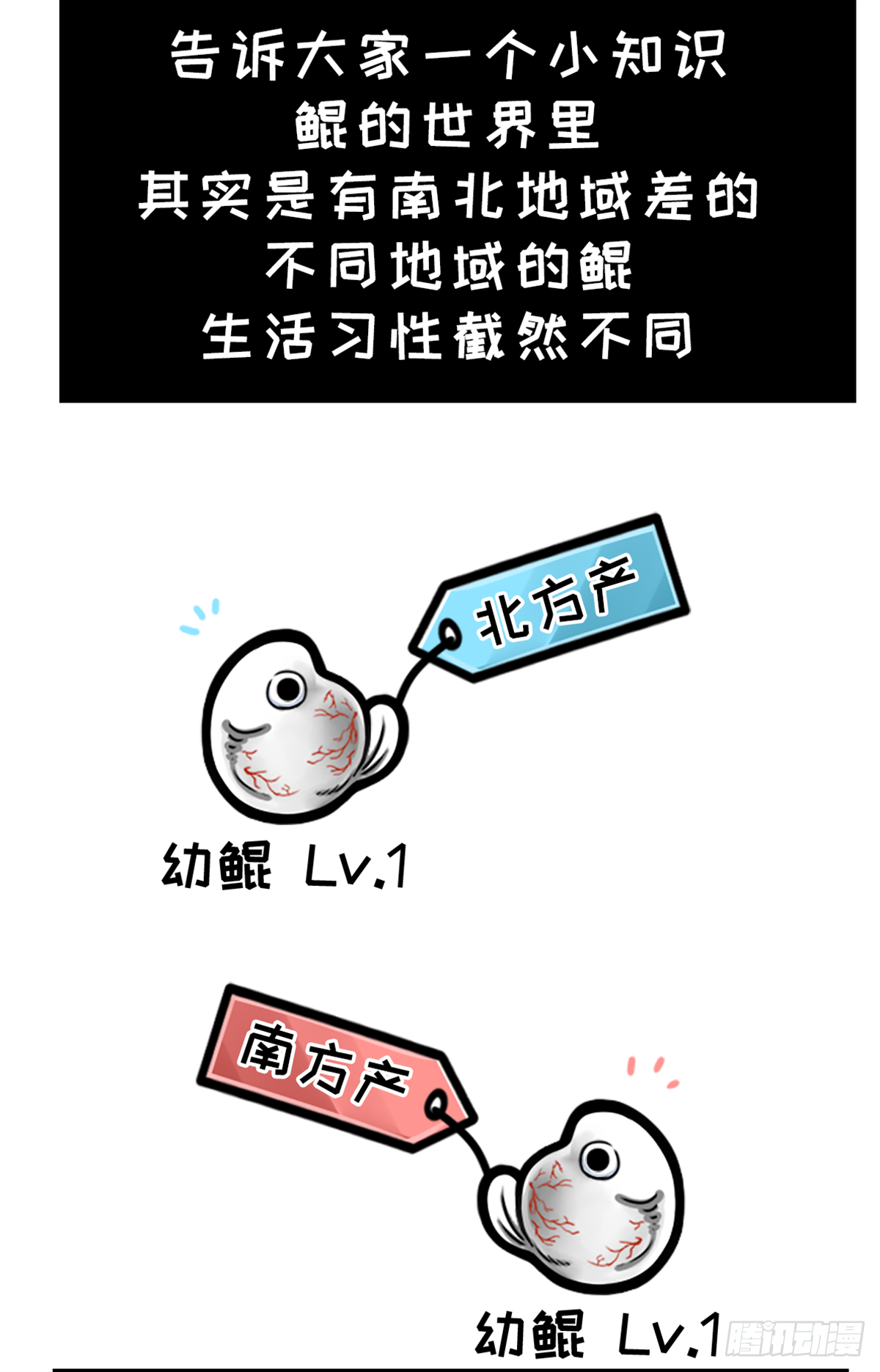 鲲鲲地理课之南北差异多-第24话