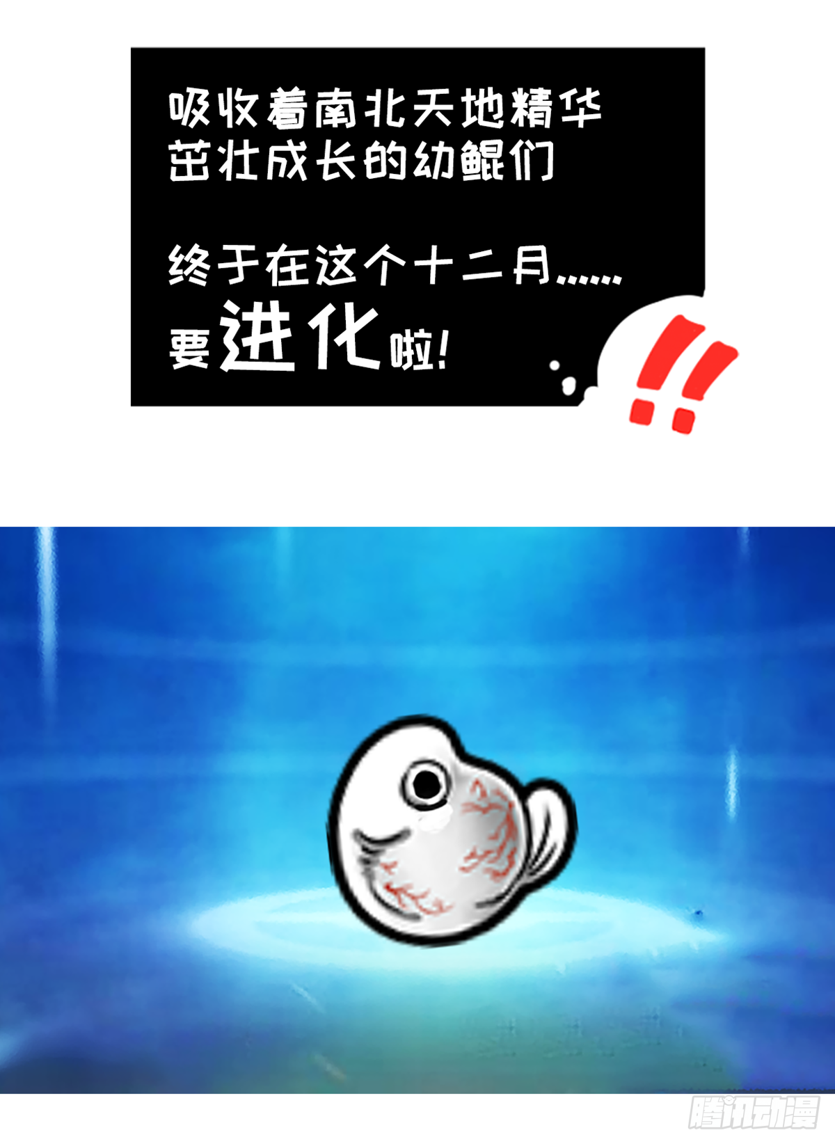 鲲鲲地理课之南北差异多-第24话