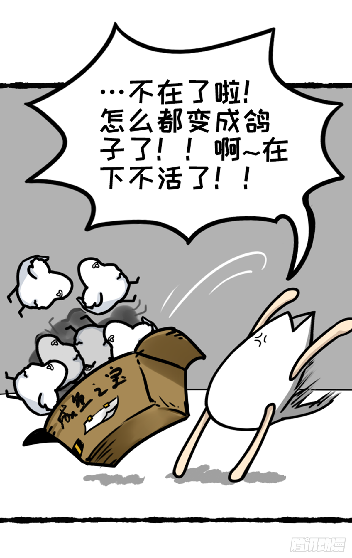 没有鸽哦-第36话