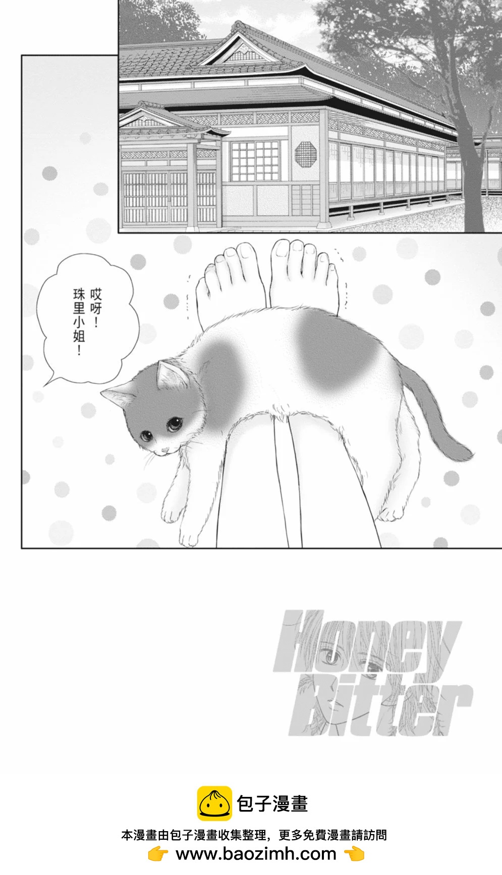 苦澀的甜蜜Honey Bitter - 第14卷(4/5) - 4