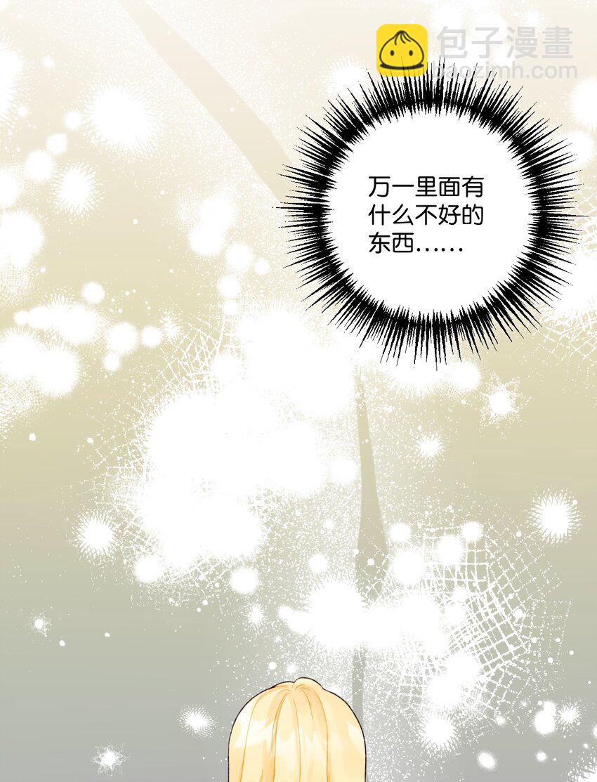 52 可疑的礼物(1/2)-第54话