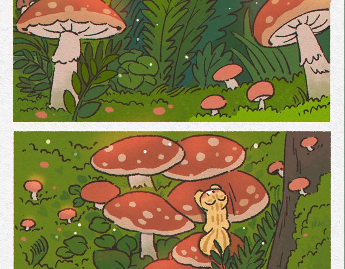 拉夢的故事 - 蘑菇林 - 2