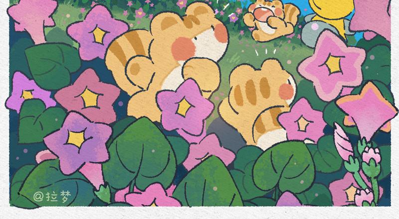 花婆的答案-第32话