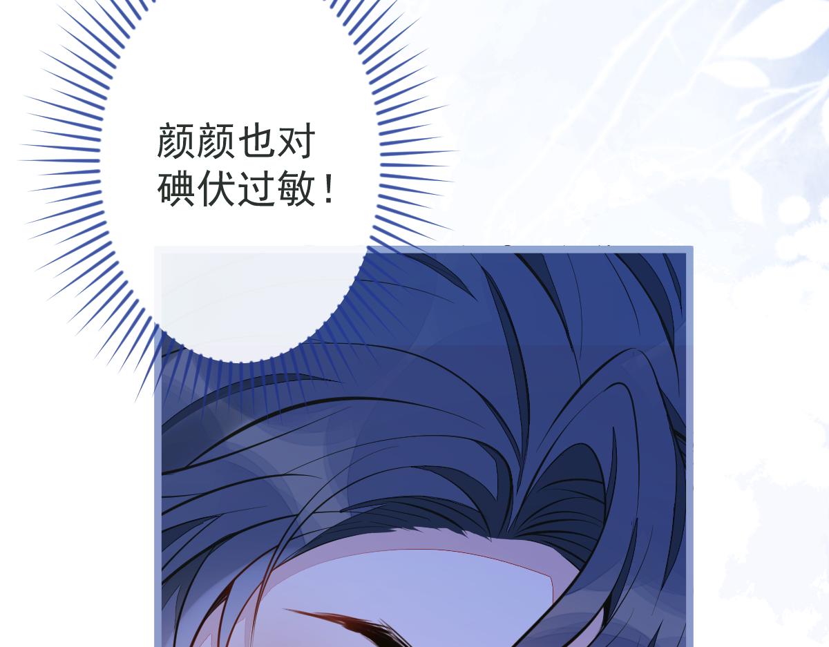 11-你是我的颜颜吗？(1/3)-第12话