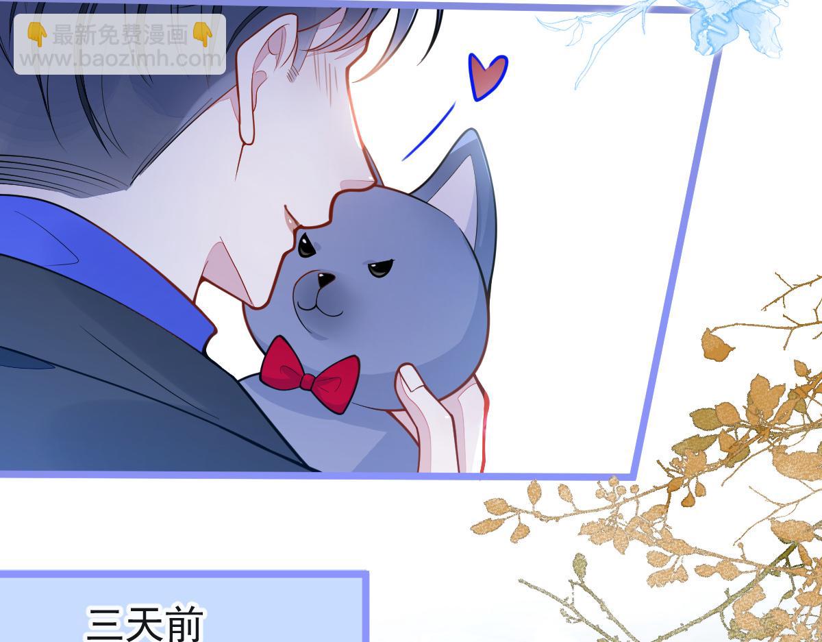 53-追妻火葬场开始(1/3)-第54话