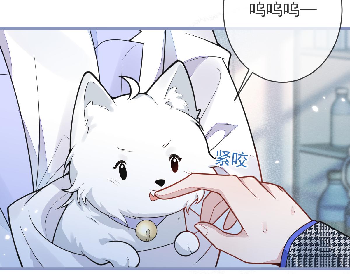 5-球球不可以！(1/3)-第6话