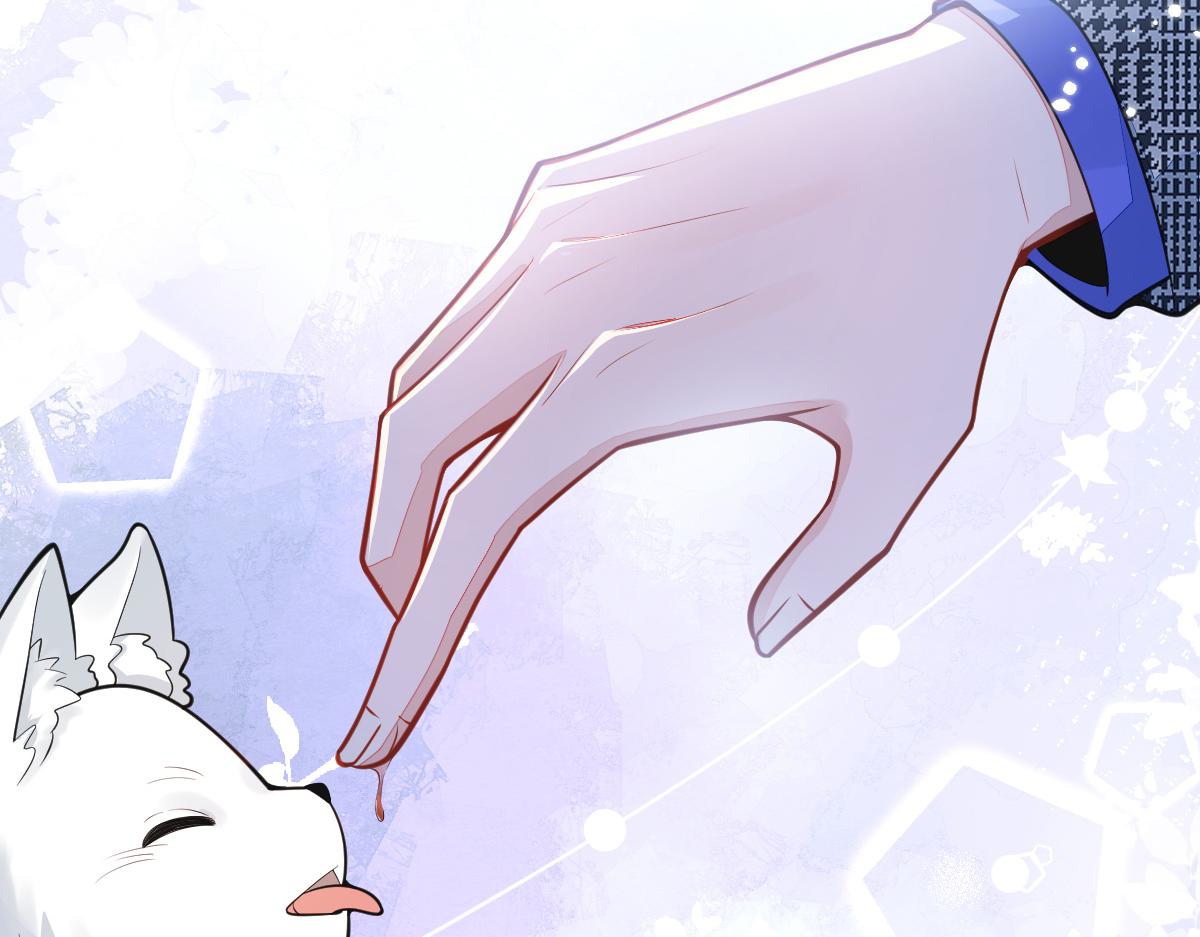 5-球球不可以！(1/3)-第6话