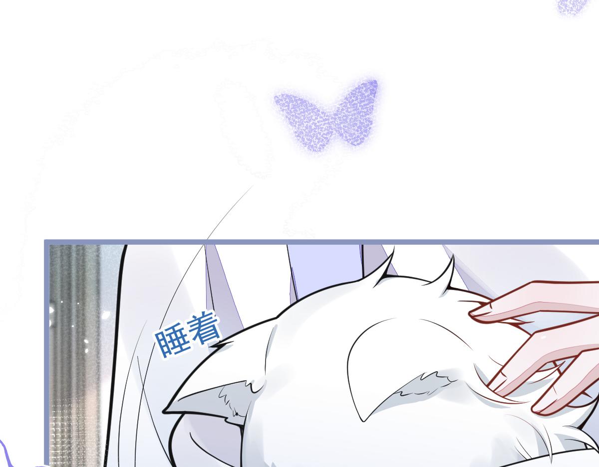 5-球球不可以！(1/3)-第6话