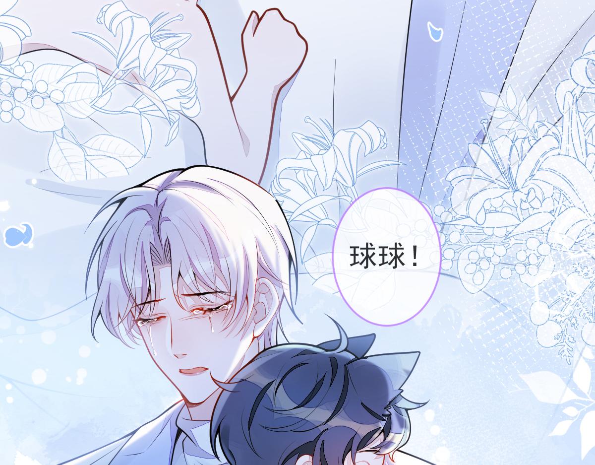 5-球球不可以！(1/3)-第6话