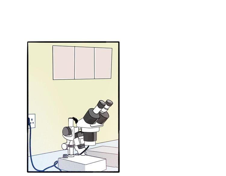 第50话 离职(1/2)-第52话