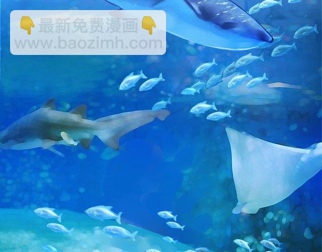 第81话 你不需要怀疑(1/2)-第84话