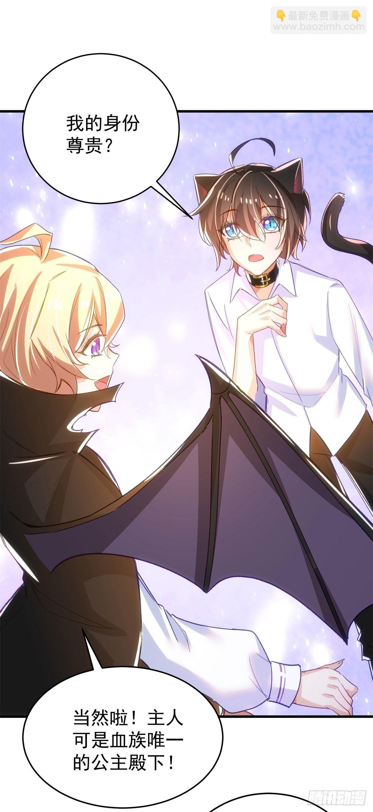 13-高贵的血统-第14话