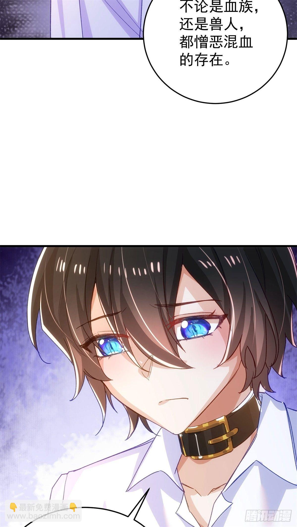 13-高贵的血统-第14话