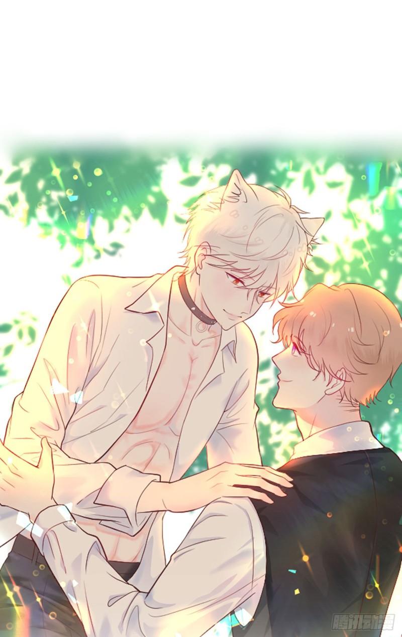 第11话 有些不一样的仔仔(1/2)-第12话