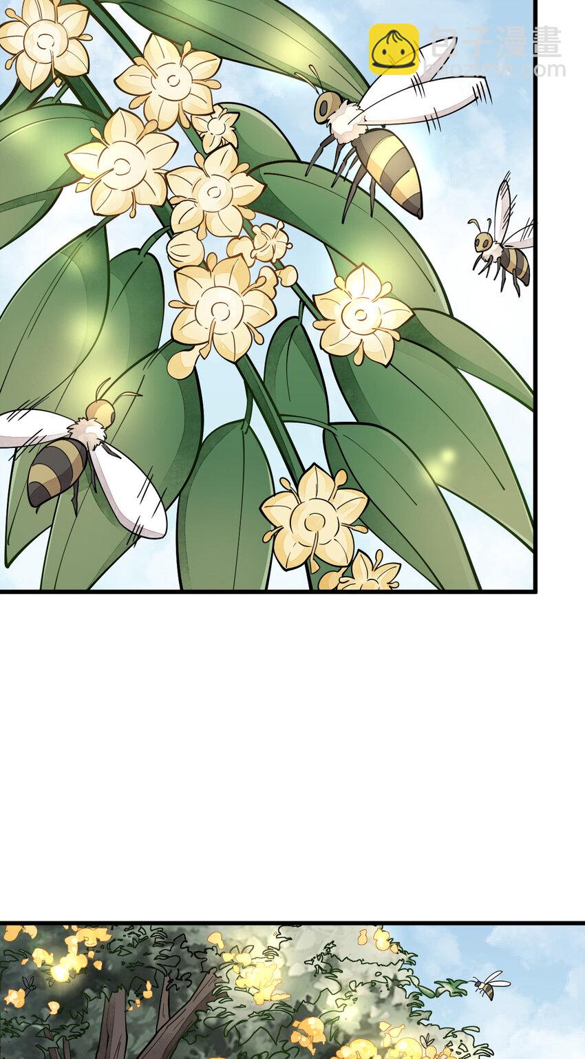 爛柯棋緣 - 252 252 - 4