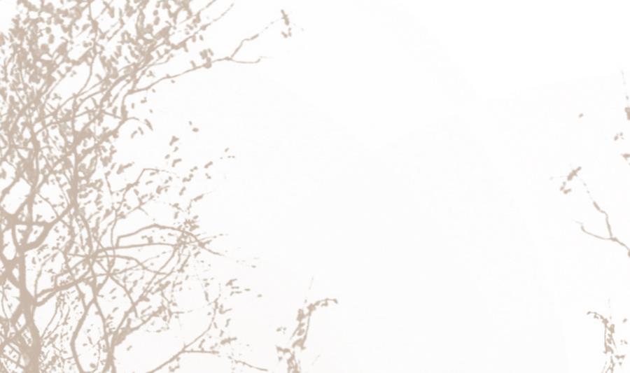 第26话 和静仪的冲突-第26话