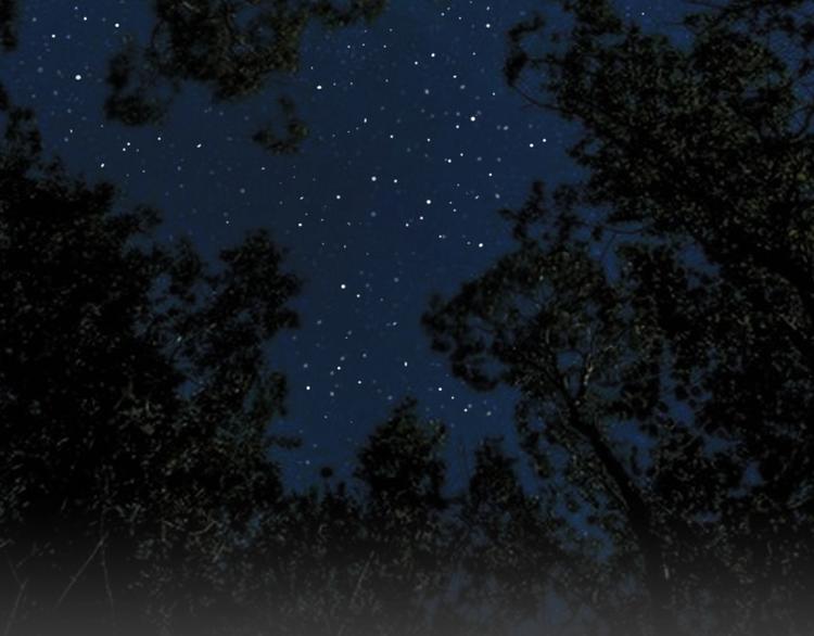 第26话 被剥夺的爱2(1/2)-第58话