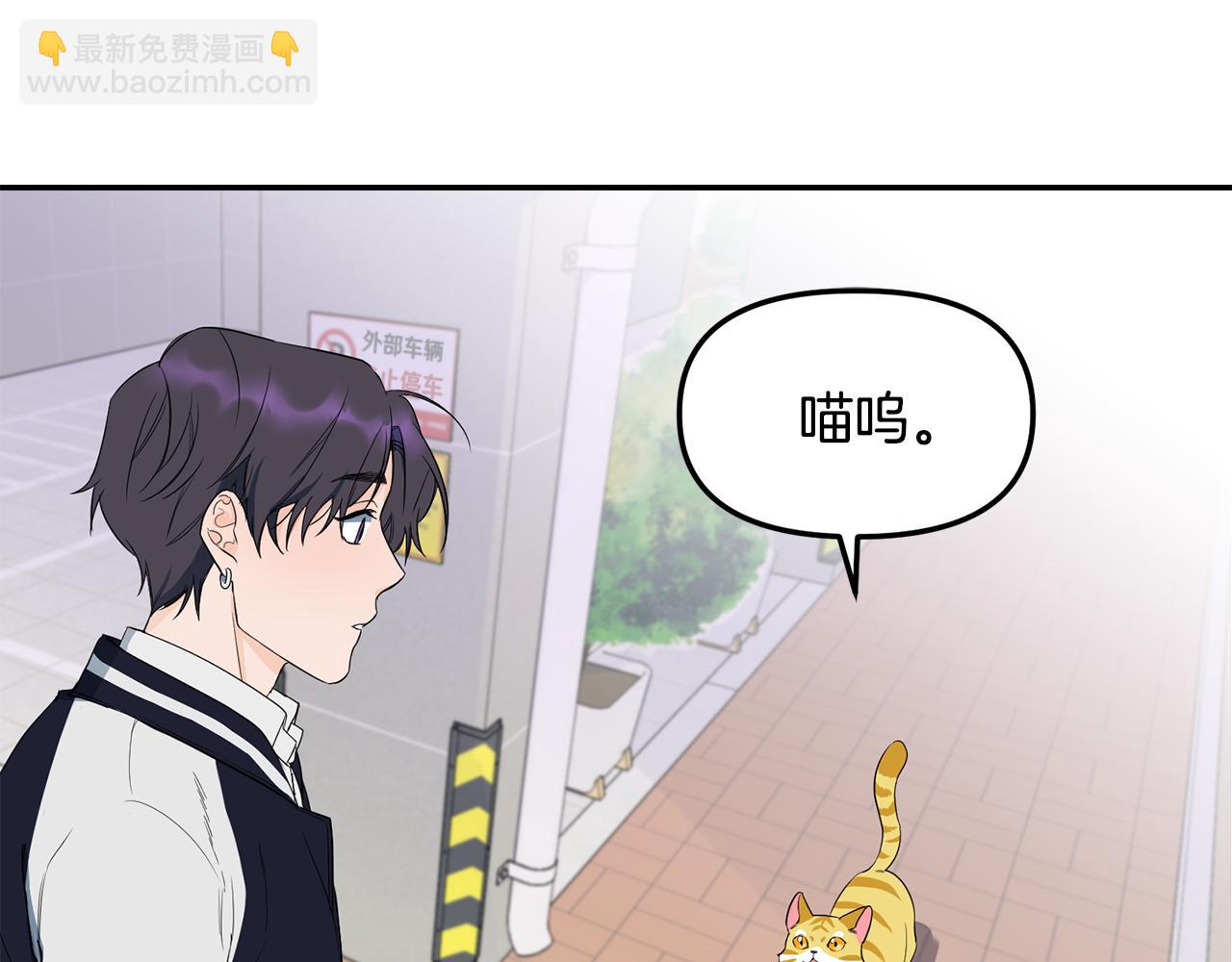 第1话 路边的猫(1/3)-第2话