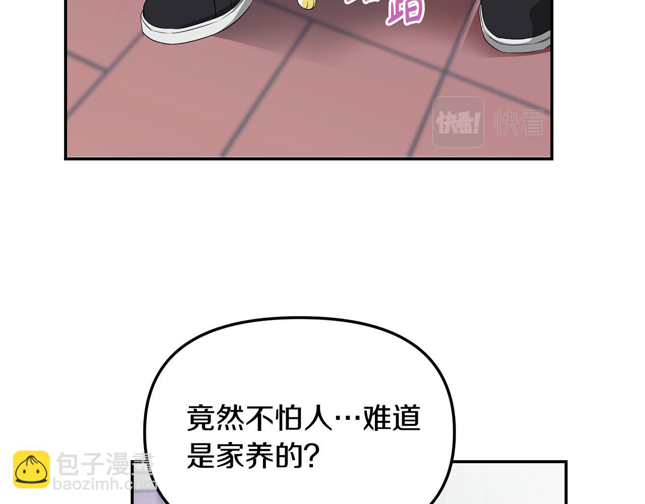 第1话 路边的猫(1/3)-第2话