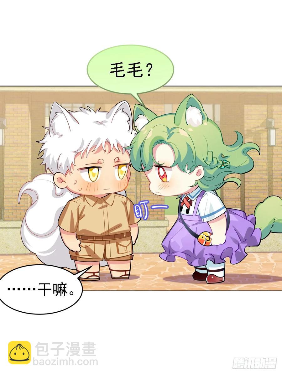 是毛毛可爱还是我可爱-第108话