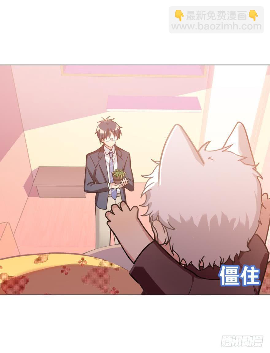 大家还记得兰先生吗？-第40话