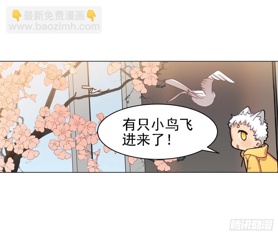 让我一个个捉回来-第50话