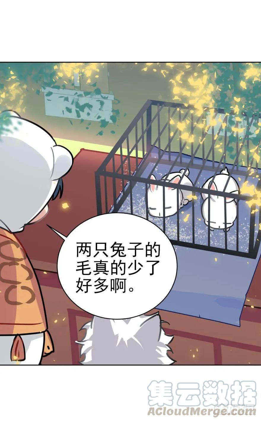 兔兔和毛毛交换秘密-第64话