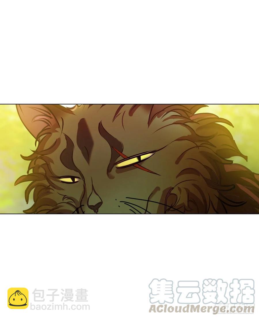 大师失踪的原因-第70话